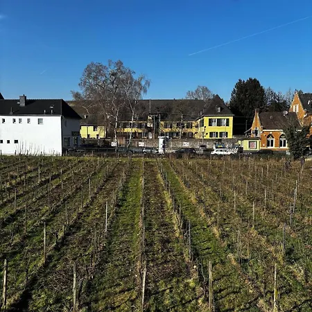 Bed & Breakfast Schloss Schoenborn Geisenheim