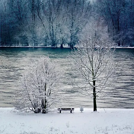 Bed & Breakfast Schloss Schoenborn Geisenheim