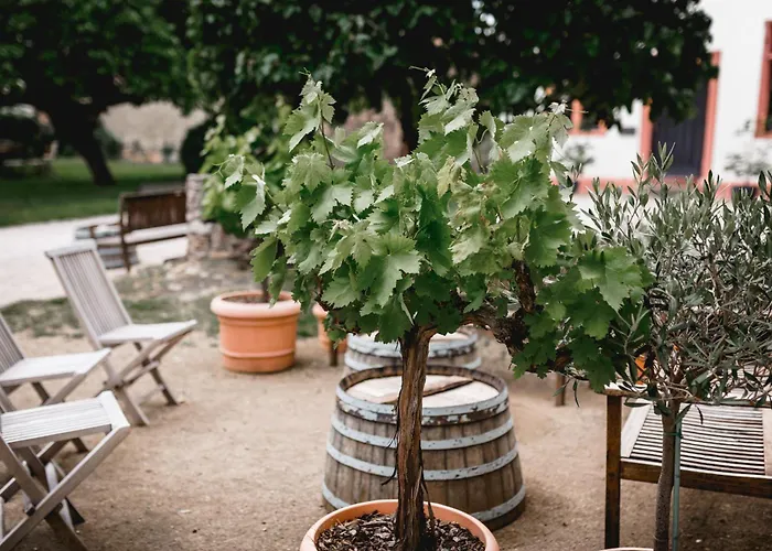 Schloss Schönborn Frühstückspension 3*